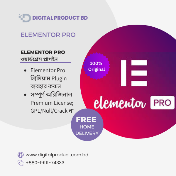 Elementor Pro 1